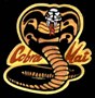 Cobra Kai's Avatar
